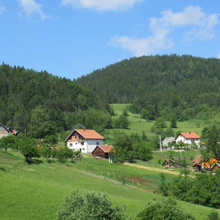 Planinski Mir Zaovine Dış mekan fotoğraf