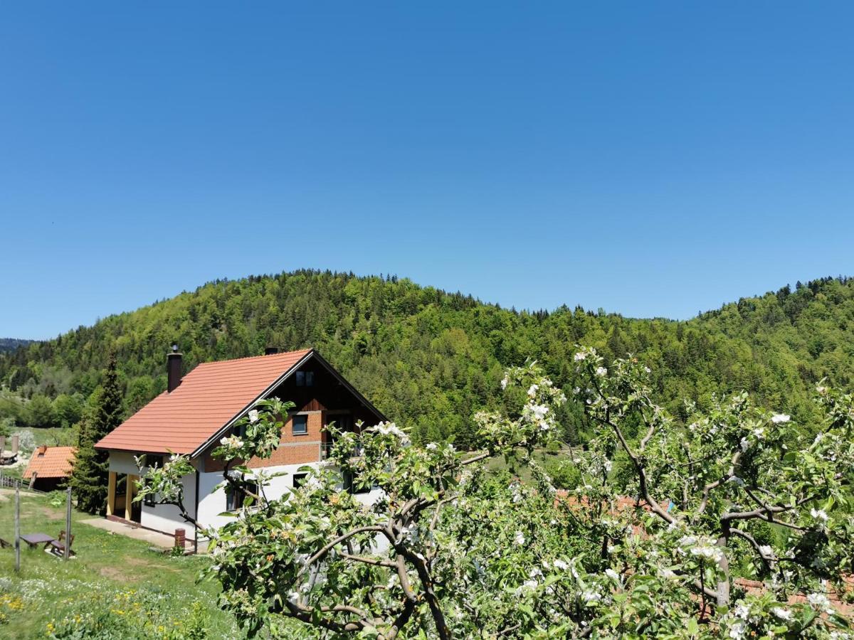 Planinski Mir Zaovine Dış mekan fotoğraf