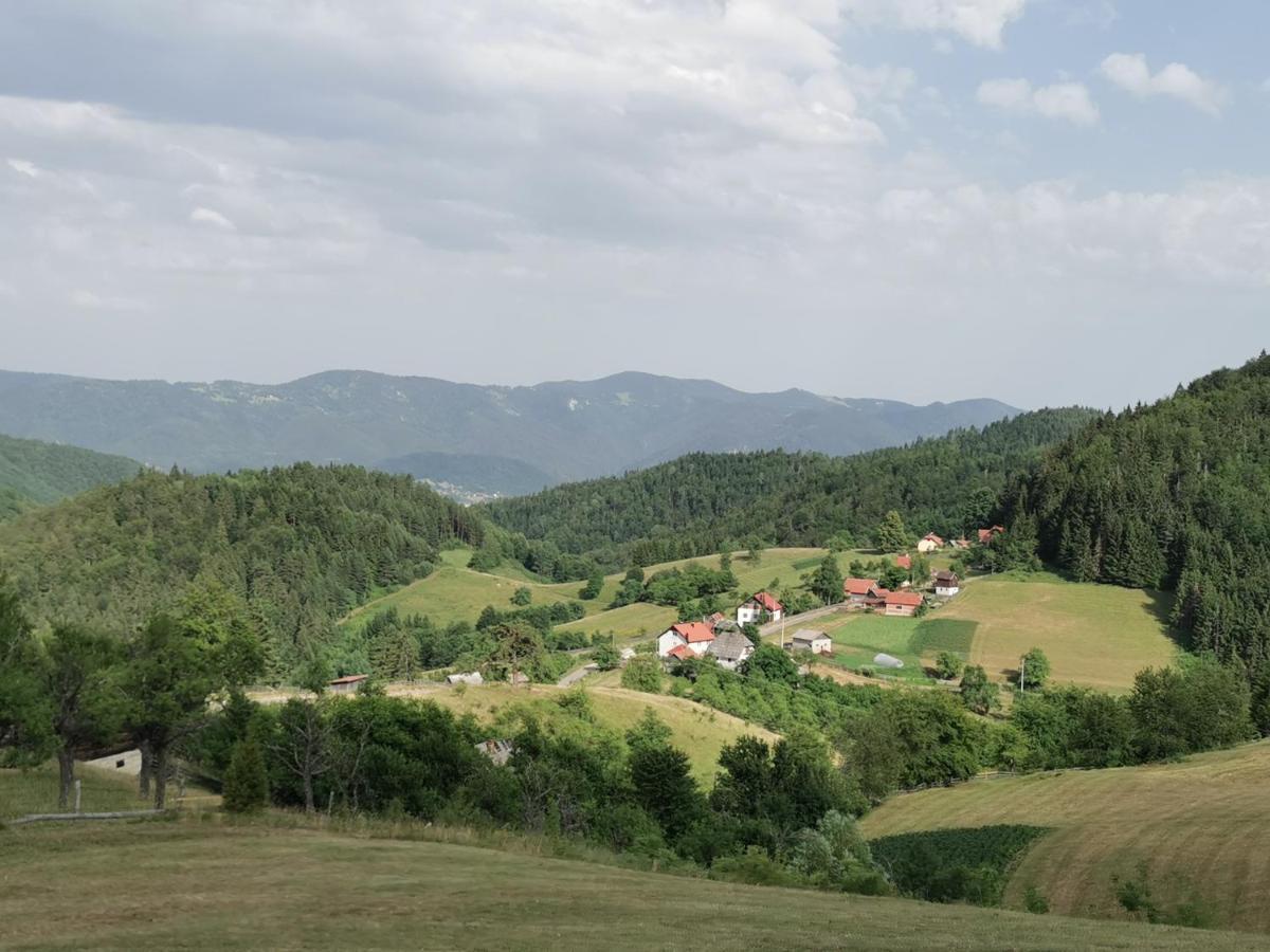 Planinski Mir Zaovine Dış mekan fotoğraf