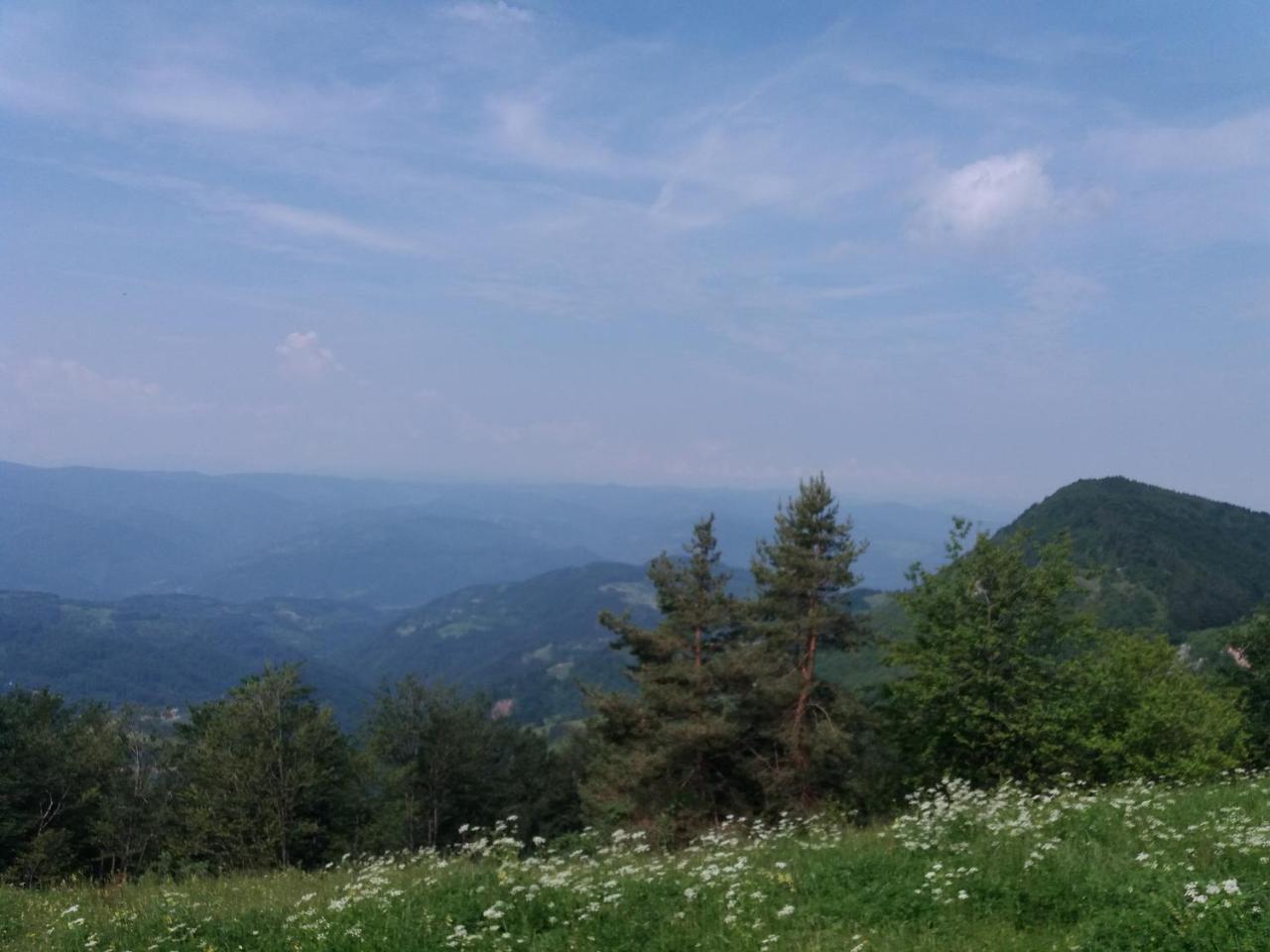 Planinski Mir Zaovine Dış mekan fotoğraf