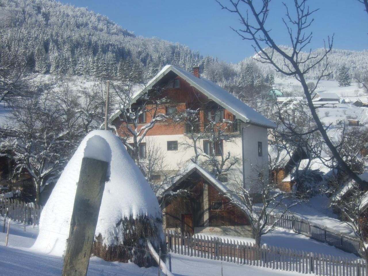Planinski Mir Zaovine Dış mekan fotoğraf