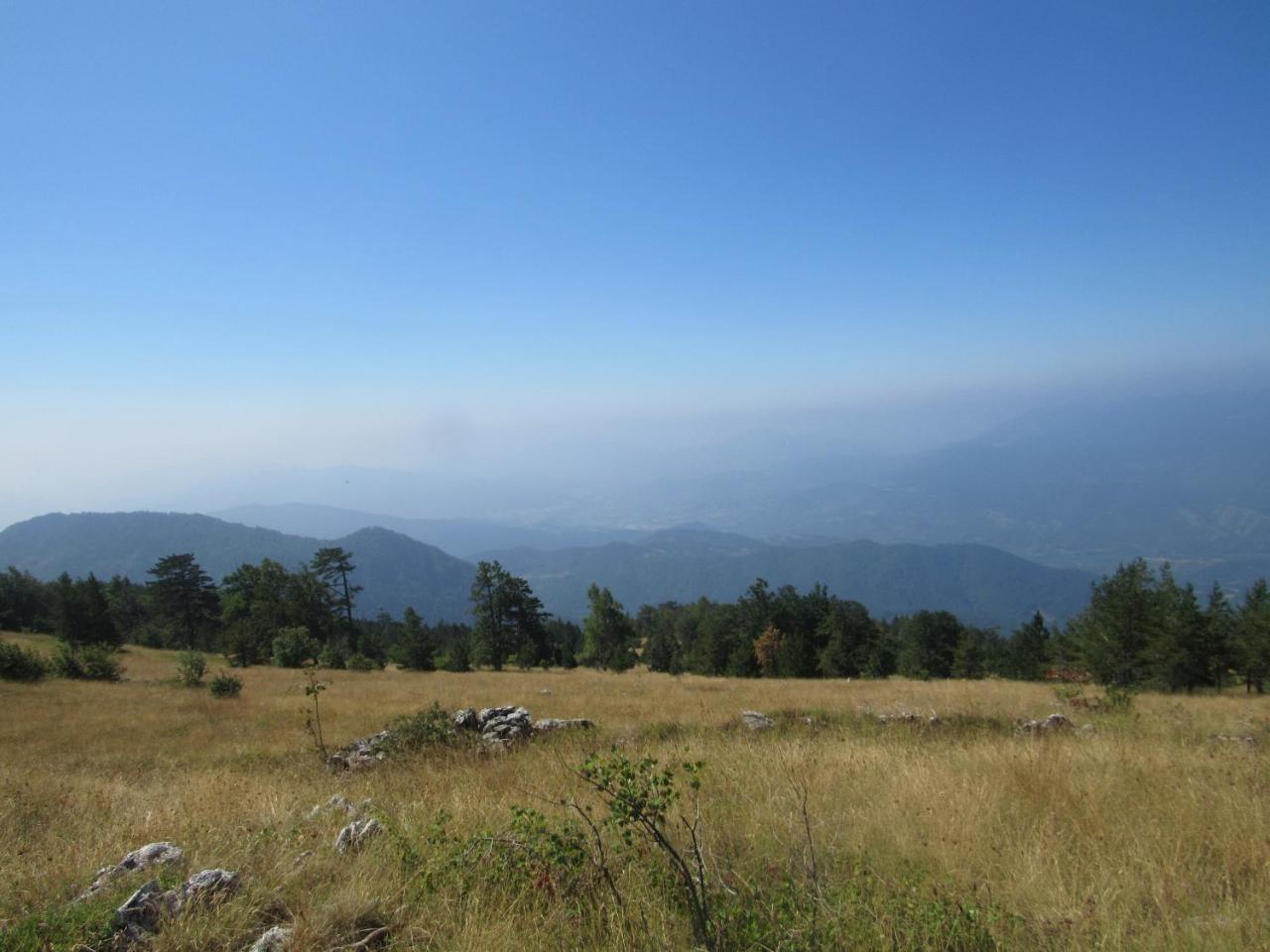 Planinski Mir Zaovine Dış mekan fotoğraf
