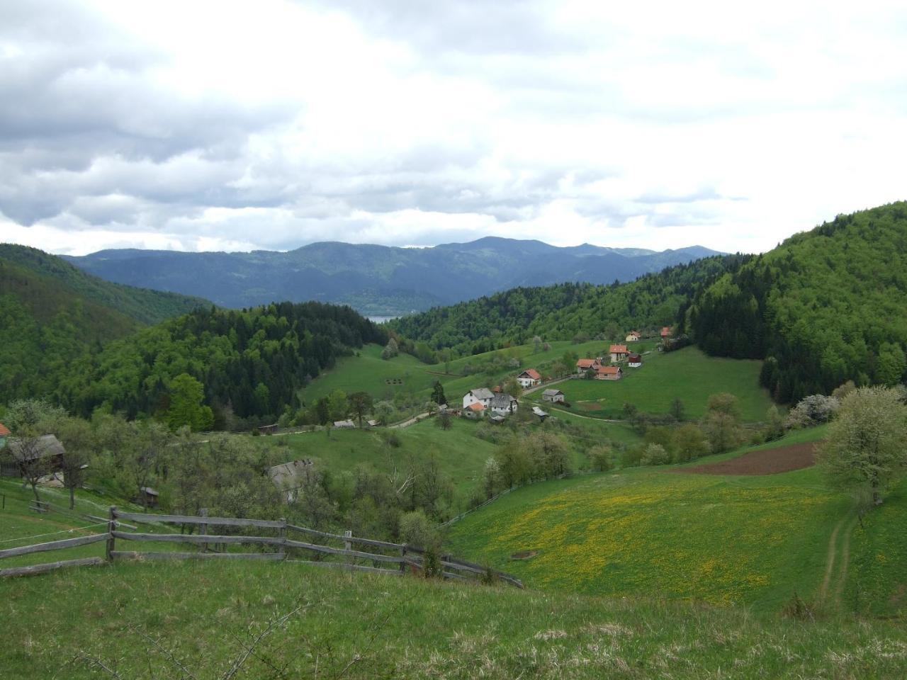 Planinski Mir Zaovine Dış mekan fotoğraf